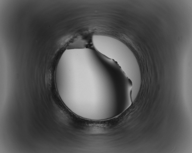 X0000086090448200704132129