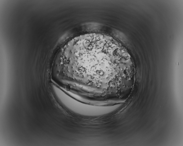 X0000086090449200704132129