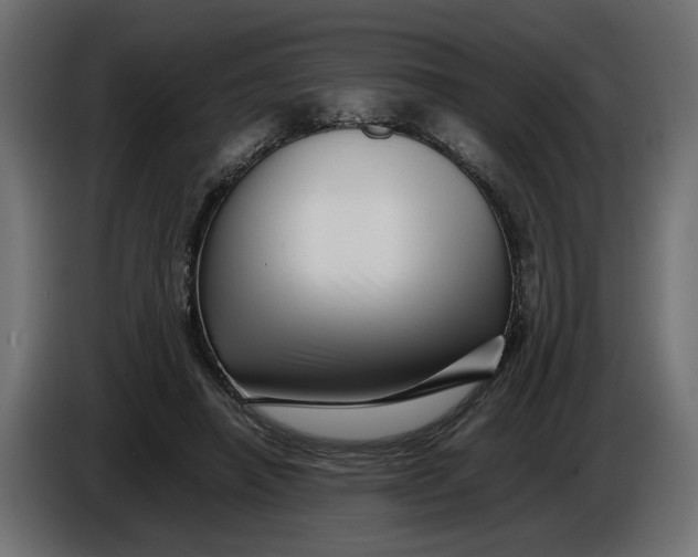 X0000086090450200704132129