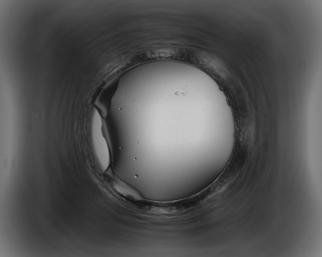 X0000086090455200704132129