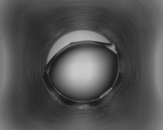 X0000086090456200704132129