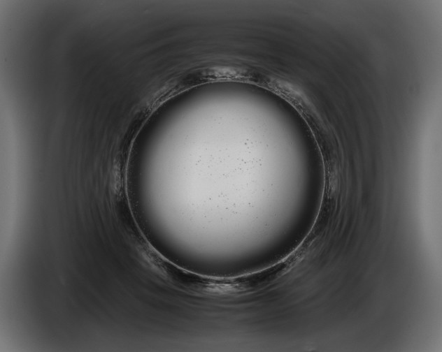 X0000086090457200704132129