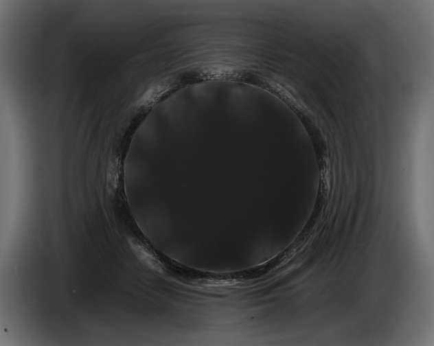 X0000086090458200704132129