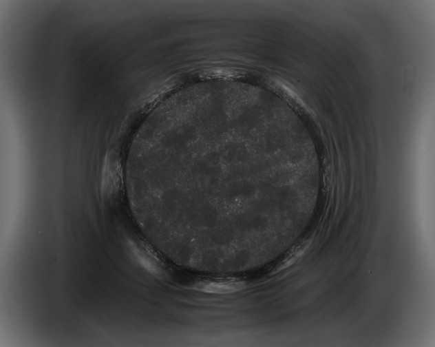 X0000086090459200704132129