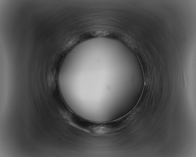 X0000086090460200704132129