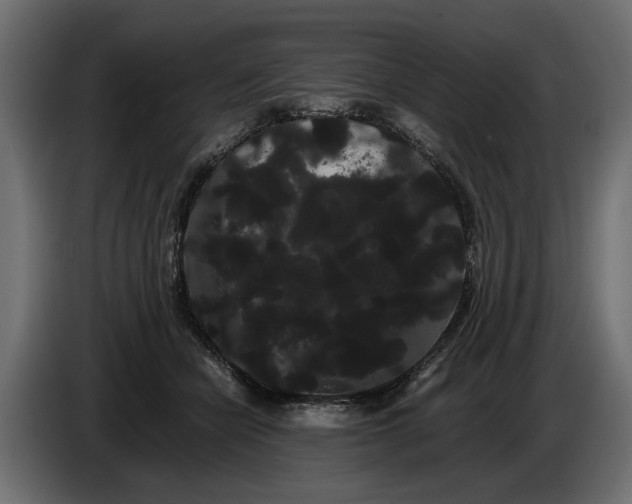 X0000086090462200704132129