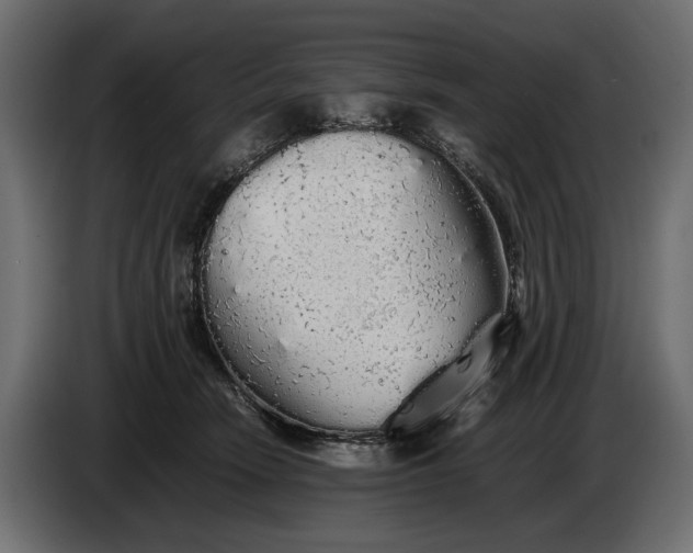 X0000086090466200704132129