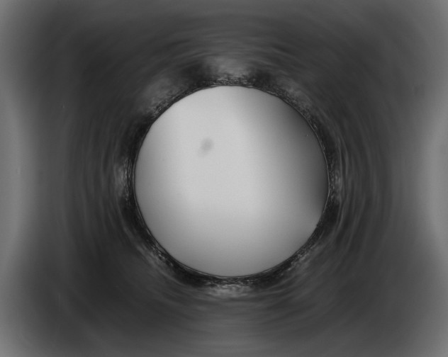 X0000086090468200704132129