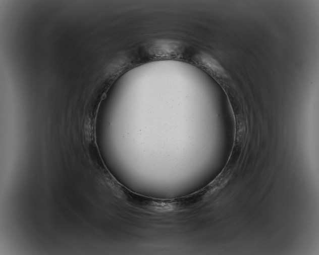 X0000086090469200704132129