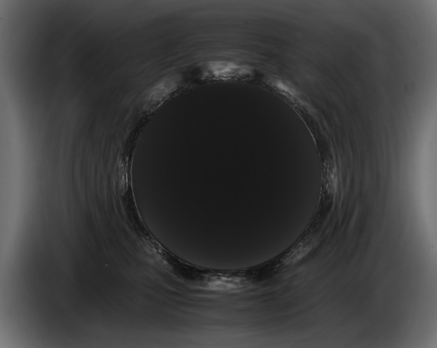 X0000086090471200704132129