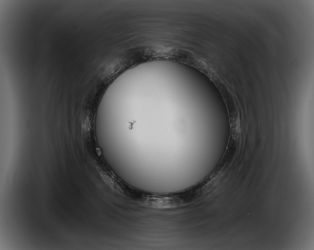 X0000086090472200704132129