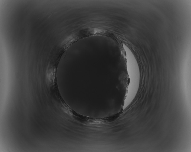 X0000086090475200704132129