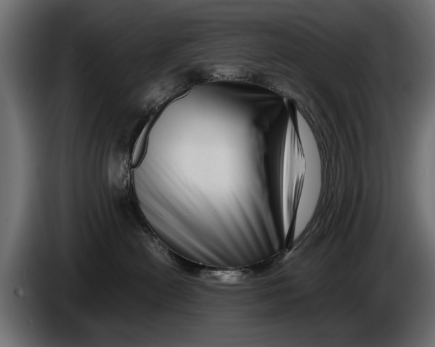 X0000086090478200704132129