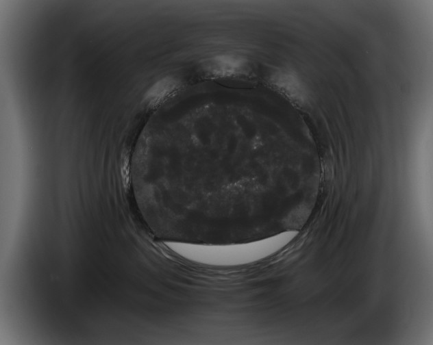 X0000086090479200704132129