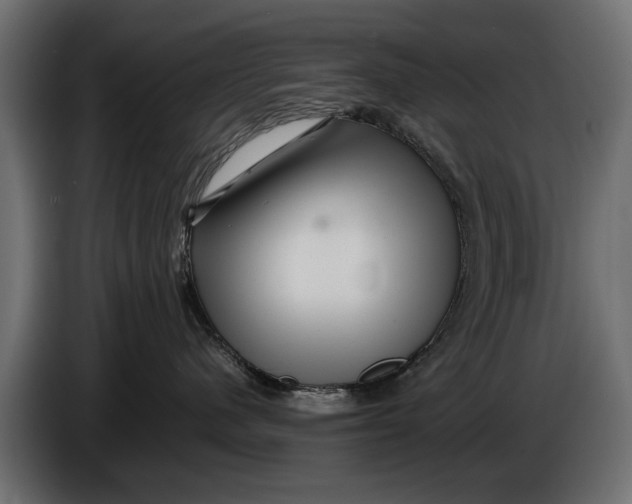 X0000086090480200704132129