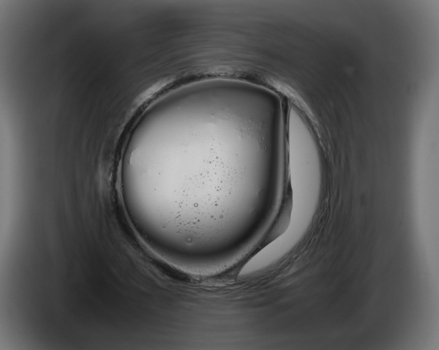 X0000086090483200704132129