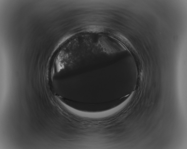 X0000086090484200704132129