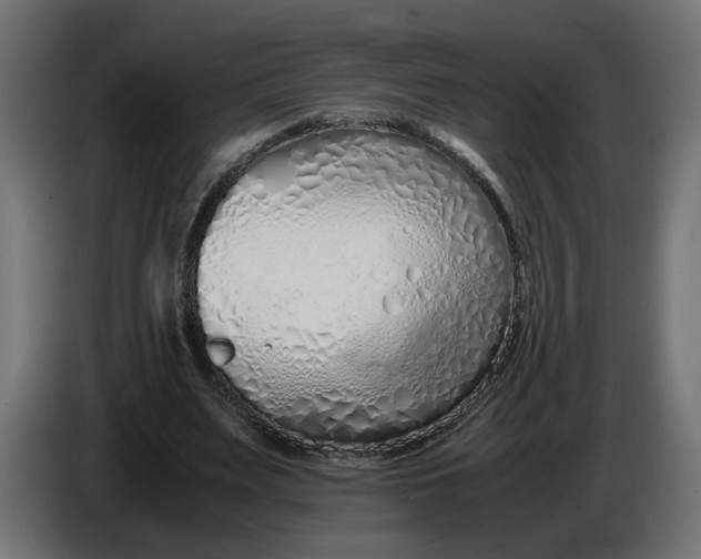 X0000086090487200704132129