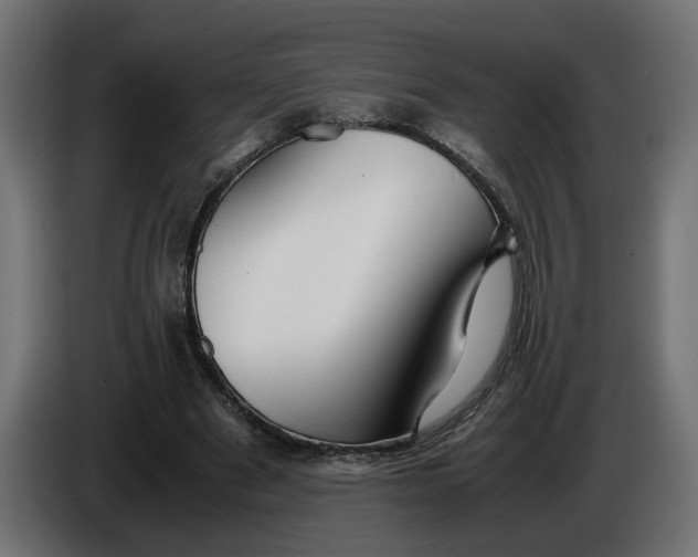 X0000086090489200704132129