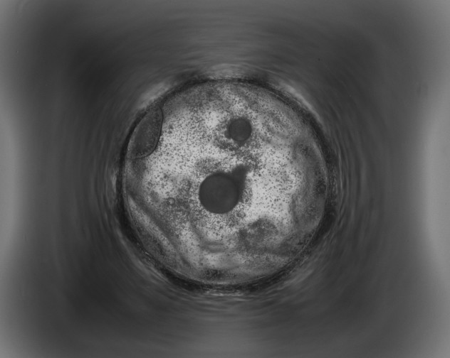 X0000086090491200704132129