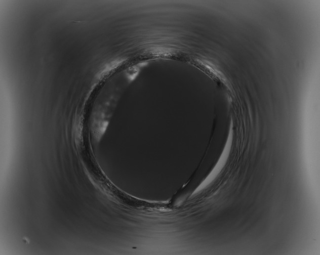 X0000086090492200704132129