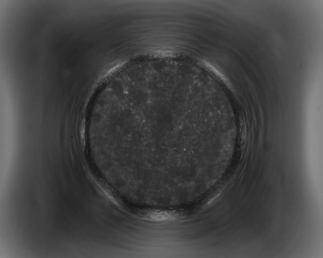 X0000086090494200704132129