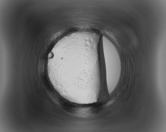 X0000086090495200704132129