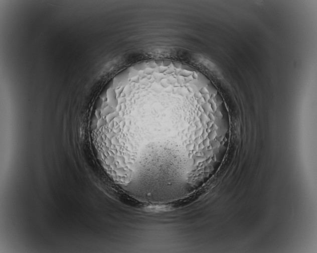 X0000086090499200704132128