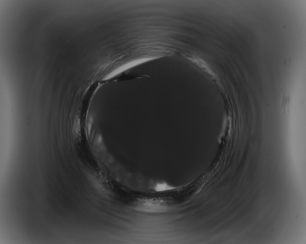 X0000086090500200704132128