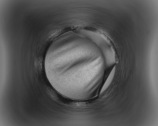 X0000086090501200704132128