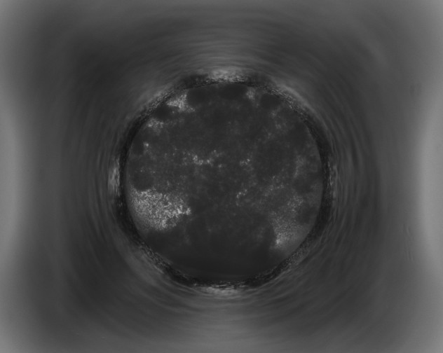 X0000086090502200704132128