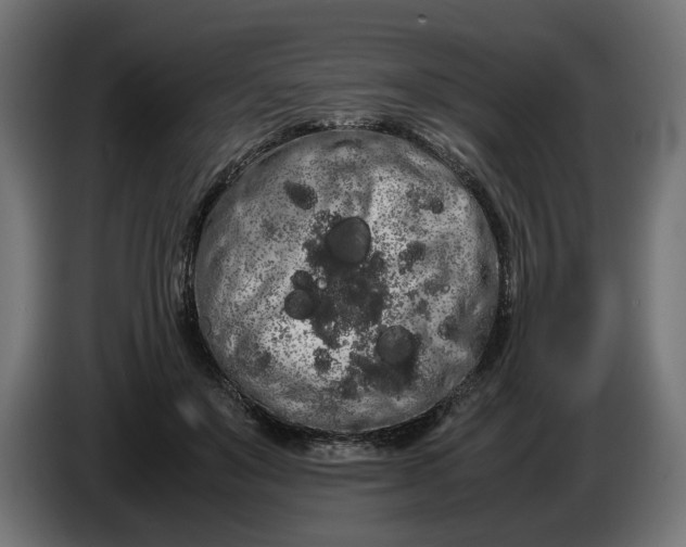 X0000086090503200704132128