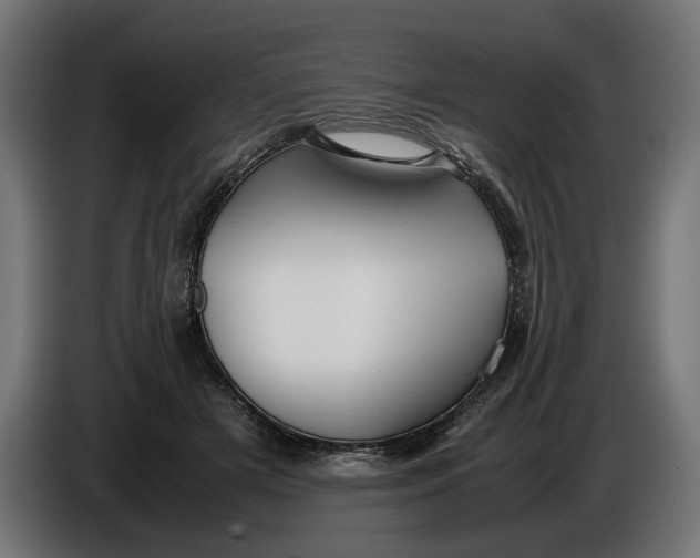 X0000086090505200704132128