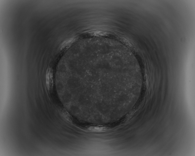 X0000086090506200704132128