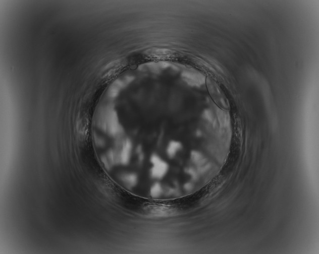 X0000086090507200704132128