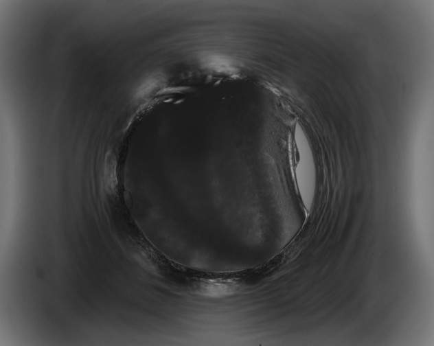 X0000086090508200704132128