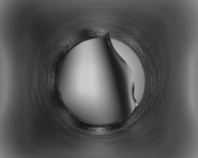 X0000086090509200704132128