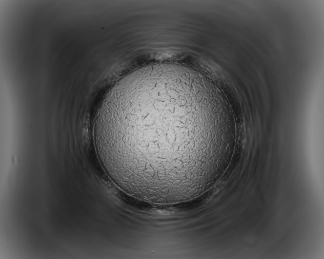 X0000086090510200704132128