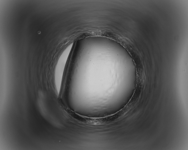 X0000086090511200704132128