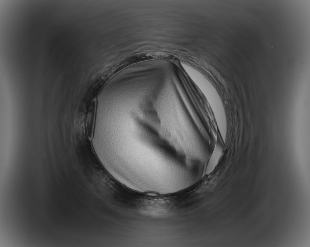 X0000086090513200704132128