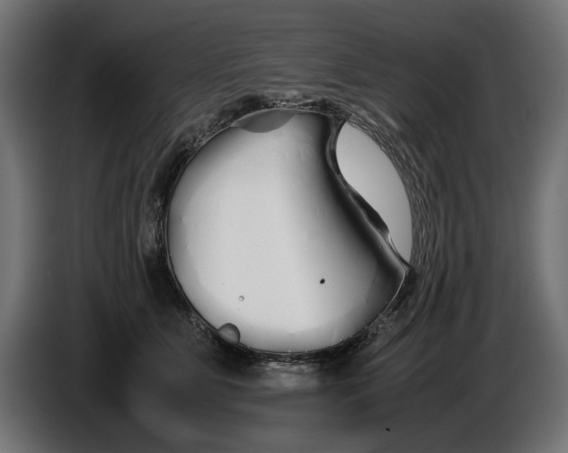 X0000086090515200704132128