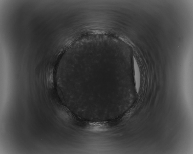 X0000086090516200704132128