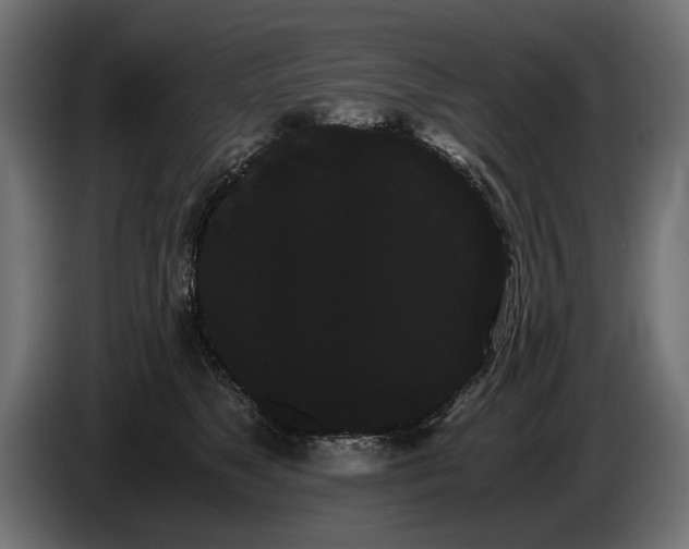 X0000086090517200704132128