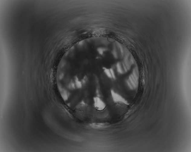 X0000086090519200704132128