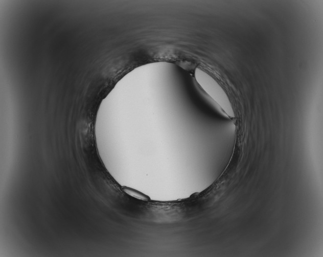 X0000086090521200704132128