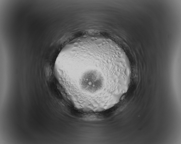 X0000086090523200704132128