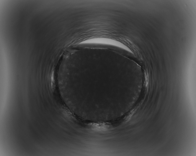 X0000086090524200704132128