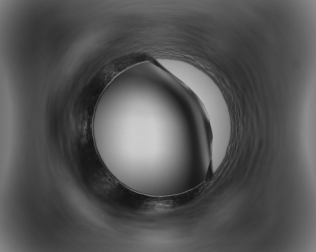 X0000086090525200704132128