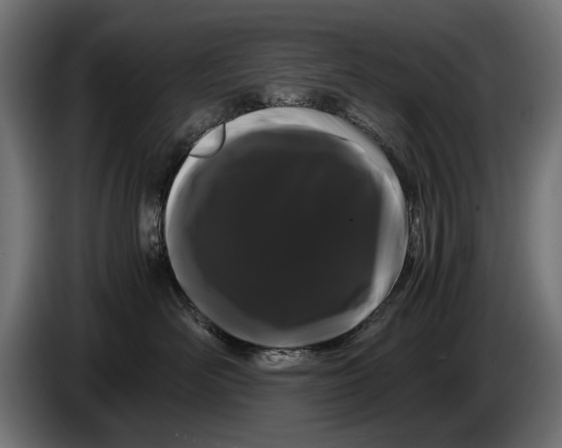 X0000086090526200704132128