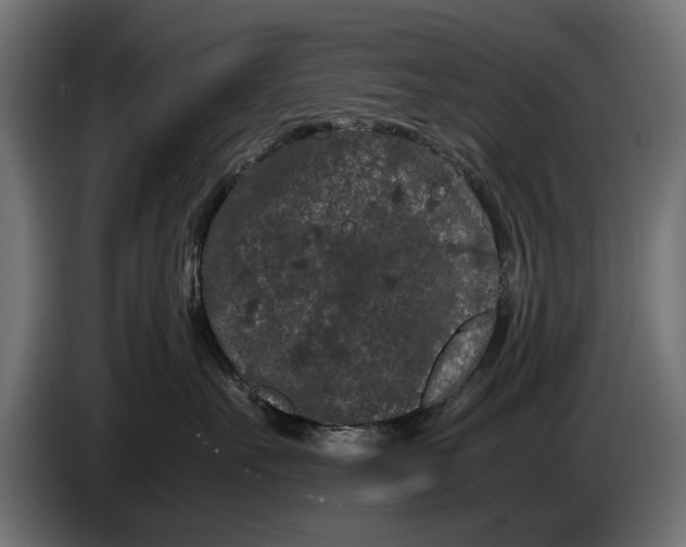 X0000086090527200704132128